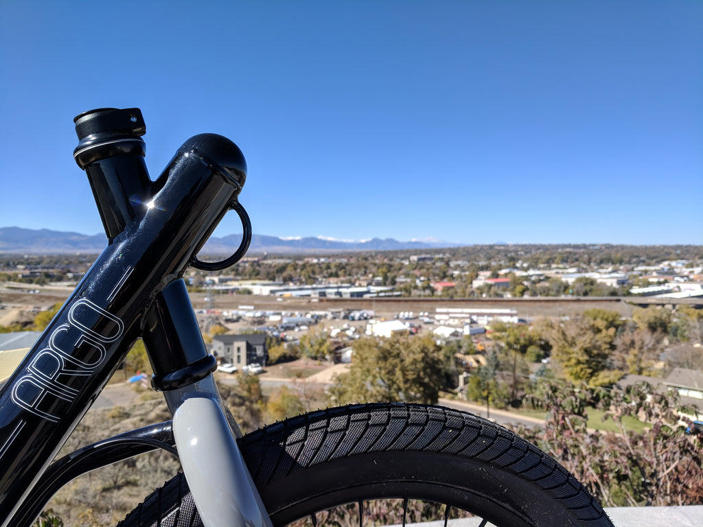 What is a Cargo Bike and Why You Should Want One?